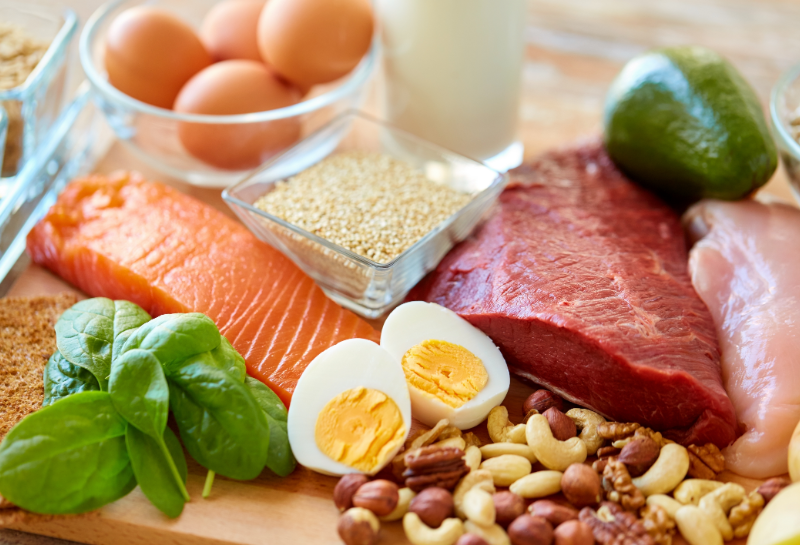high protein foods to build muscle